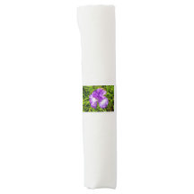 Iris violet et blanc