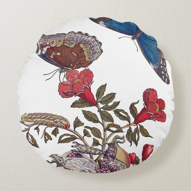 Ronds Maria Merian Papillons Coussins (Devant)