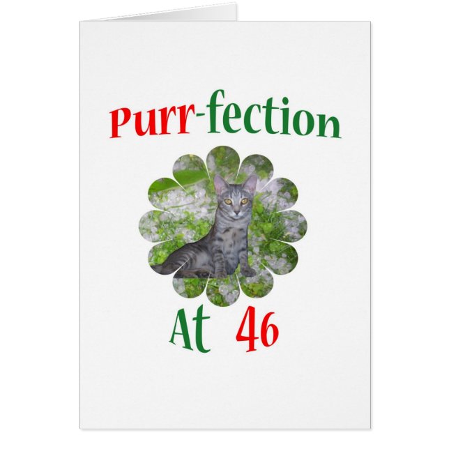 Ronronnement-fection 46 (Devant)