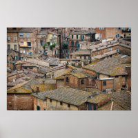 Roofs in Siena poster print