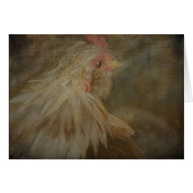 Rooster (Devant horizontal)