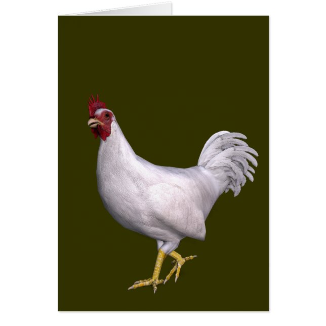 Rooster blanc (Devant)