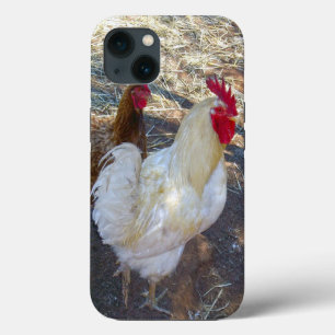 Rooster Blanc Avec Sa Hen, iPhone 13 Coque