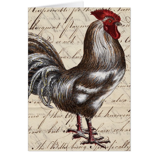 Rooster et Ephémère Vintage Vierge Toutes les Occa (Devant)