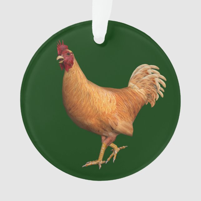Rooster orange coloré (devant)