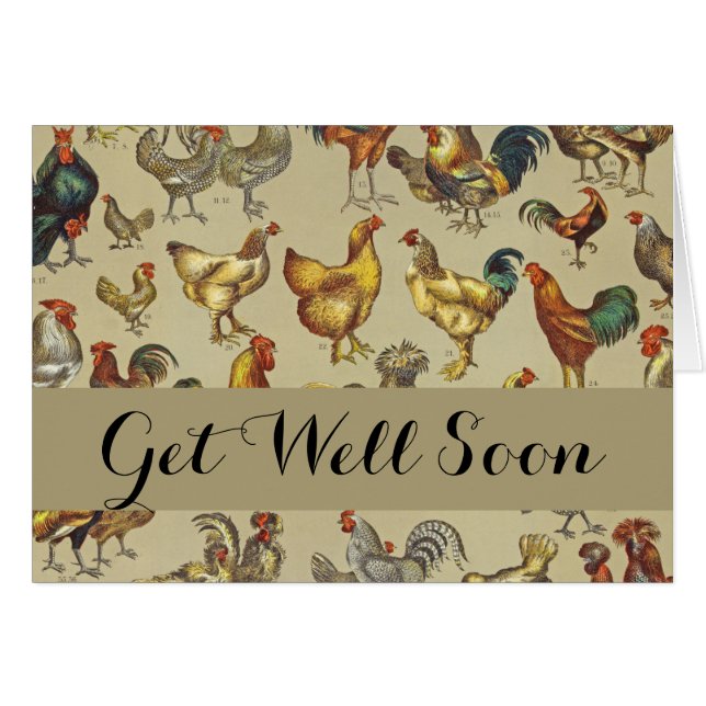 Rooster Poulet de la ferme Pays Animal (Devant horizontal)