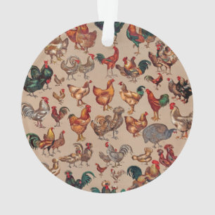 Rooster Poulet de la ferme Pays Animal