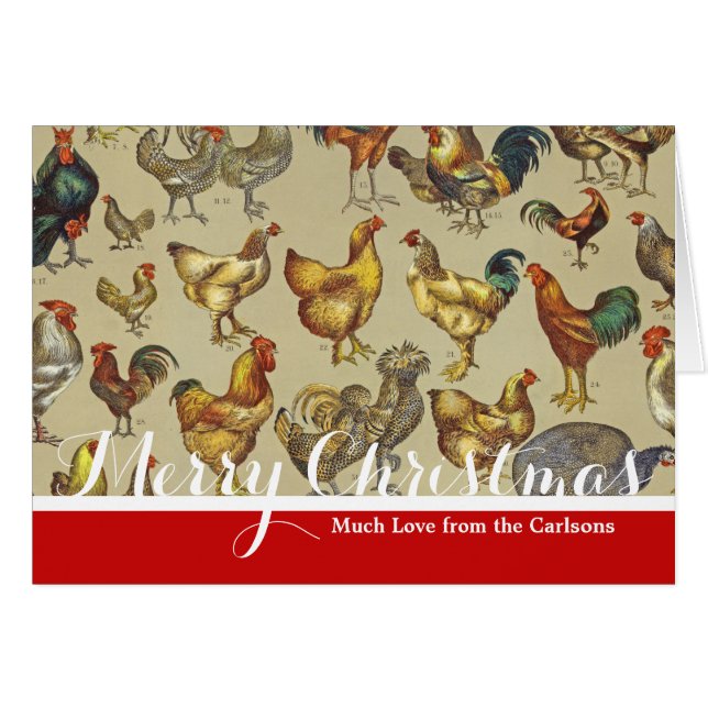 Rooster Poulet de la ferme Pays Animal (Devant horizontal)