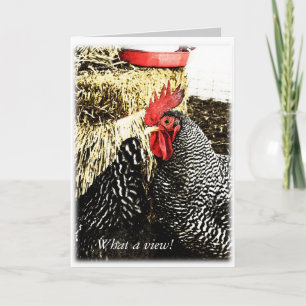 Rooster + Queue Hen, Carte de voeux amusante