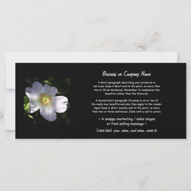 Rosa Canina - Rose de chien (Devant)