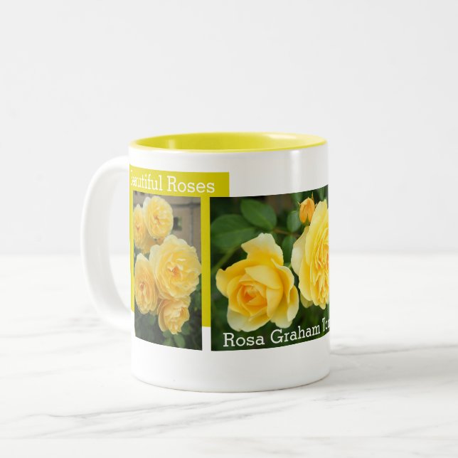 Rosa Graham Tomas：Two‐tone Mug (Devant gauche)