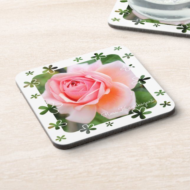 Rosa 'Kaorikazari' [Ensemble de Dessous de verre e (Côté gauche)