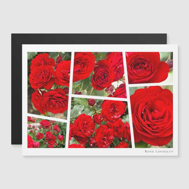 Rosa Lavaglut (Devant / Derrière)