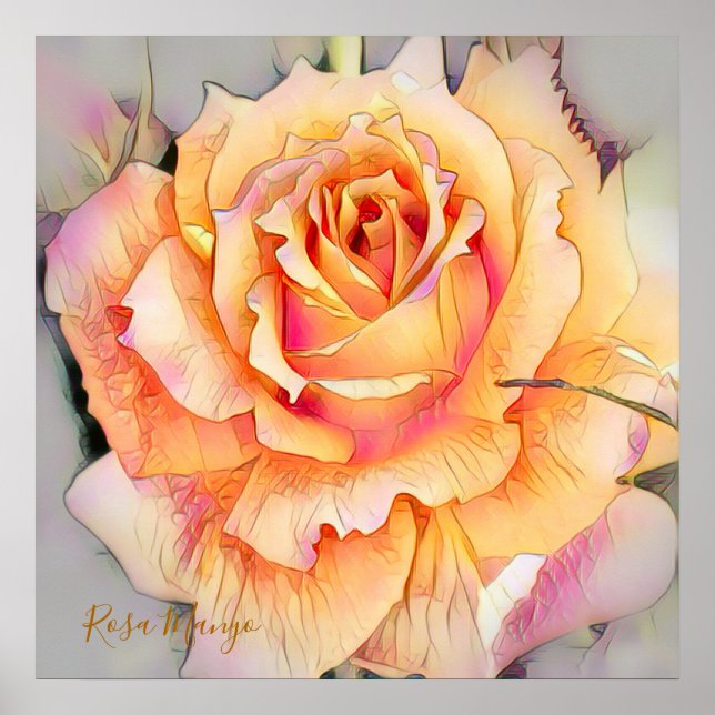 Rosa“Manyo” [Value Poster Paper] (Devant)