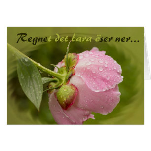 Rosa pion med glittrande vstewroppar CC0779