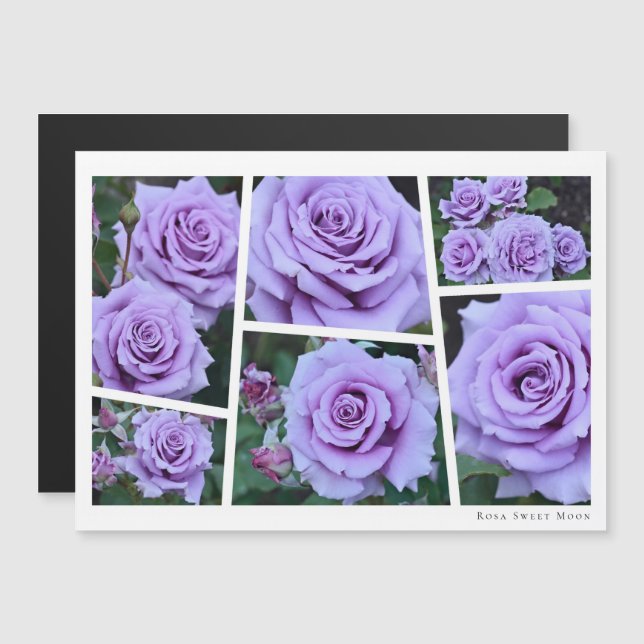 Rosa Sweet Moon (Devant / Derrière)