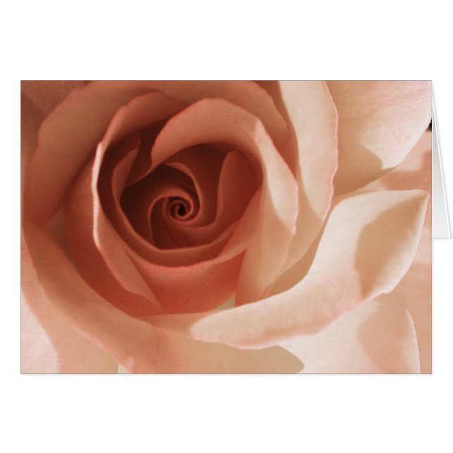 Rose (Devant horizontal)