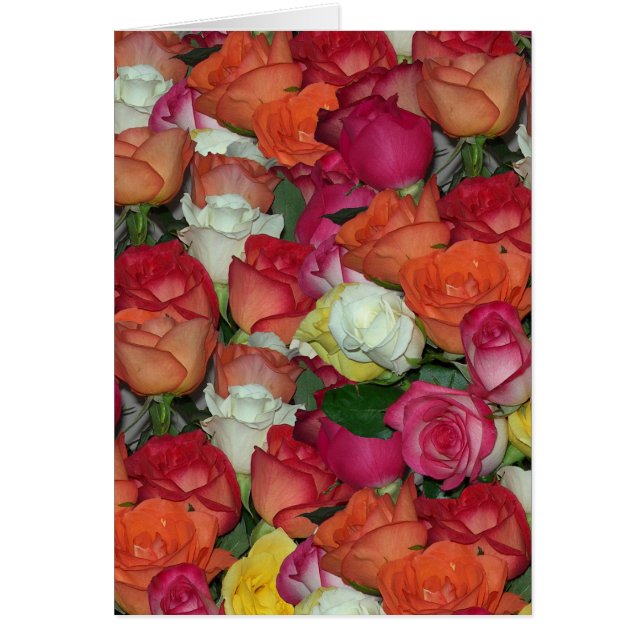 rose (Devant)