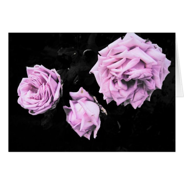 Rose (Devant horizontal)