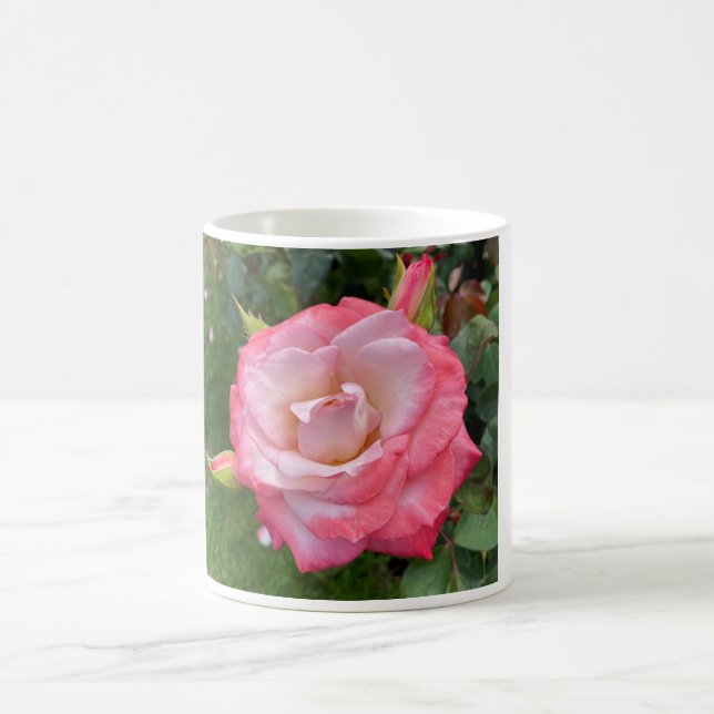 Rose #3 Mug (Centre)