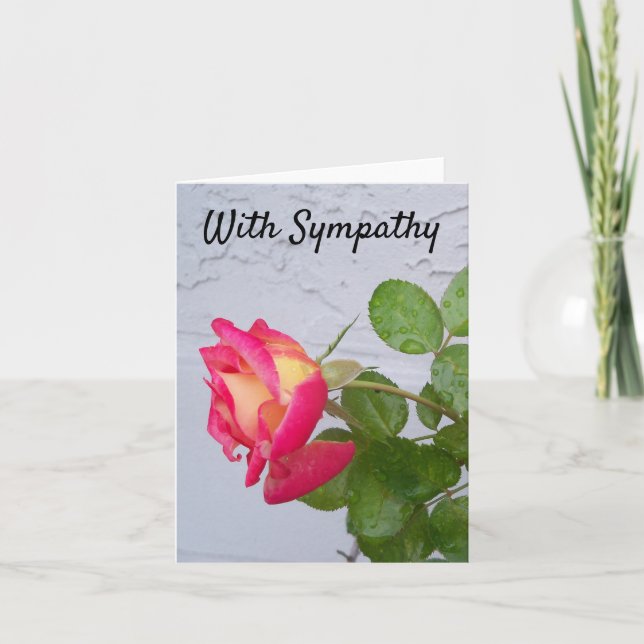 Rose avec pluie tombe sur une carte Sympathy (Devant)