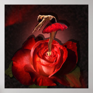 Rose Ballerina - Poster
