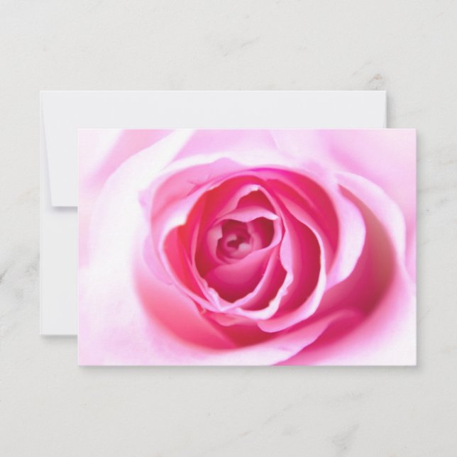 Rose bienheureuse (Devant)
