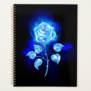 Rose bleu brûlant