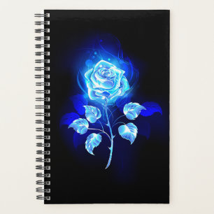 Rose bleu brûlant