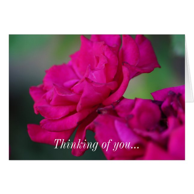 Rose Bloomed Penser De Votre Carte (Devant Horizontal)