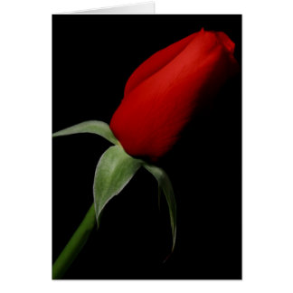 Rose Bud Love Élégant Fancy Photo Blank à l'intéri
