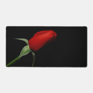 Rose Bud Love Élégante Photo Artistique