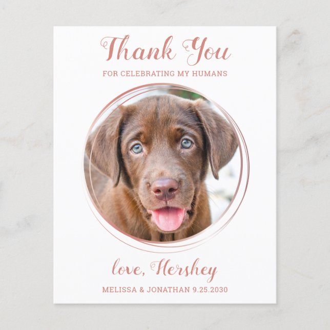Rose Budget Gold Pet photo Chien Mariage Merci (Devant)
