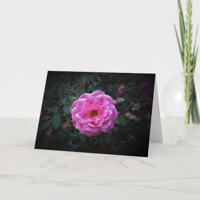 Rose, carte (Devant)