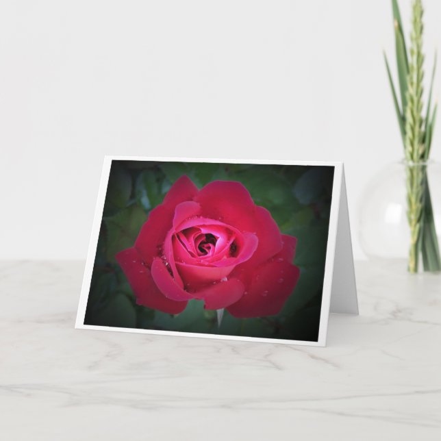 Rose, carte (Devant)