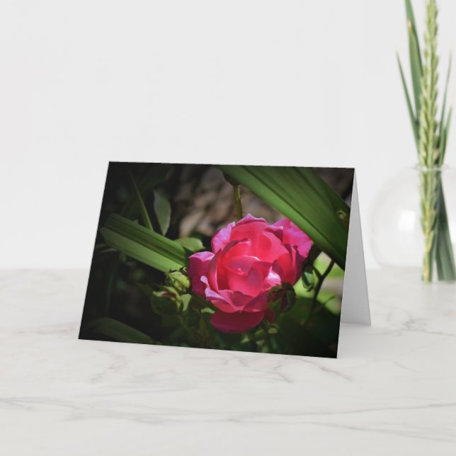 Rose, carte (Devant)