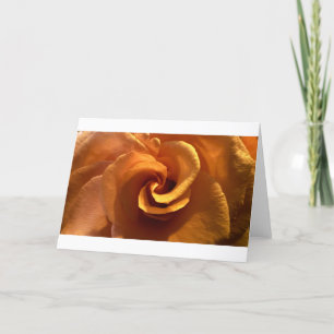 Rose, carte