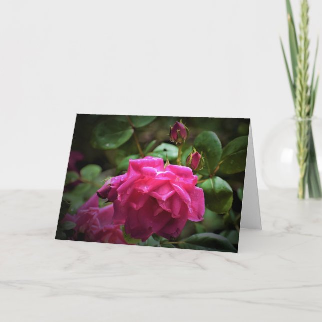 Rose, carte (Devant)