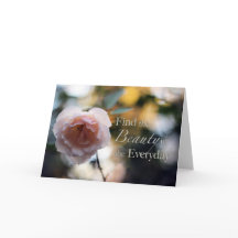 Rose - Cherchez la beauté dans la carte quotidienn