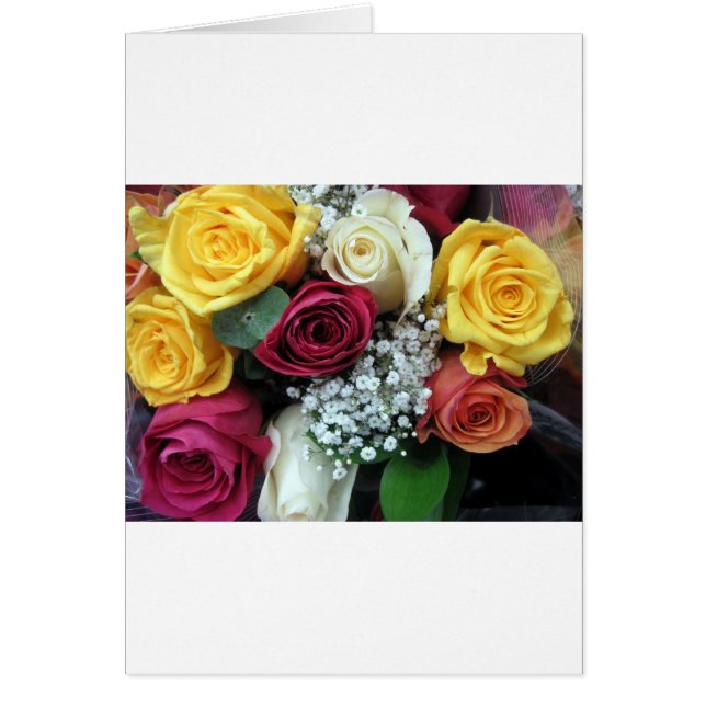 Rose coloré (Devant)