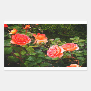 Rose de bande en laiton #1 Stickers rectangulaires