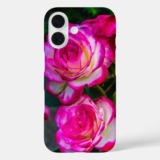 Rose de beauté Coque-Mate coque iphone (Verso)