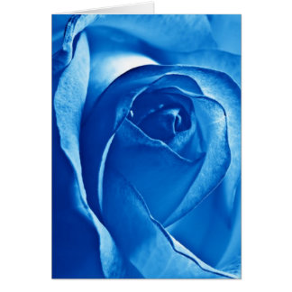Rose de bleu