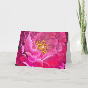 Rose de cactus roses pour carte de voeux