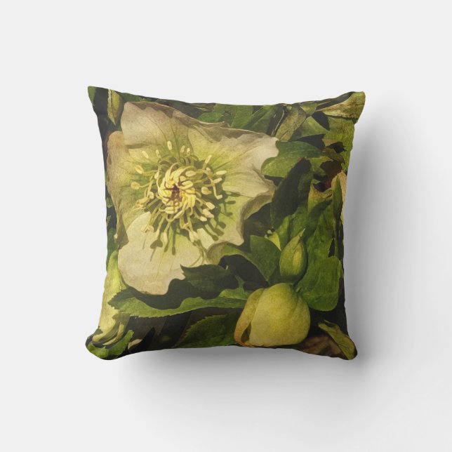 Rose de carême Hellebore Flower Coussin extérieur (Recto)