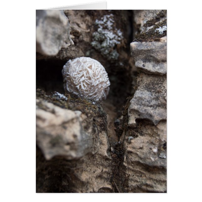 Rose de désert des pierres | 136 (Devant)