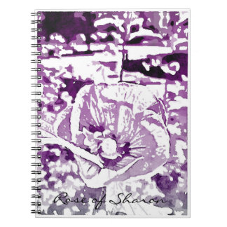 Rose de journal de Sharon