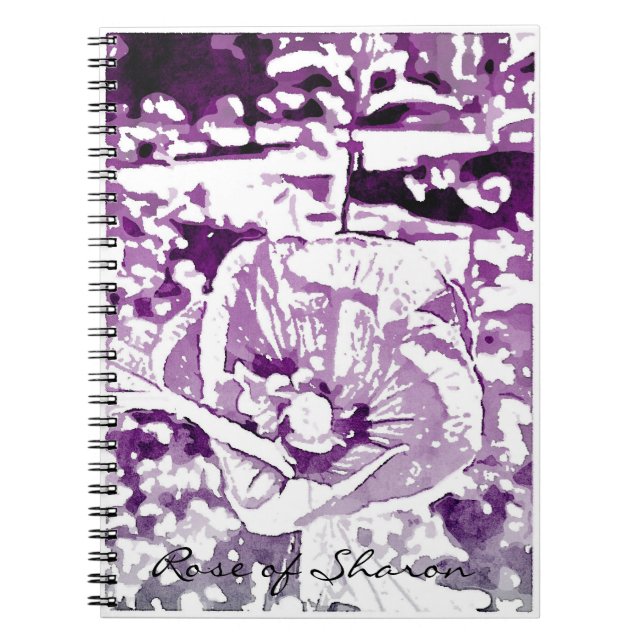 Rose de journal de Sharon (Devant)