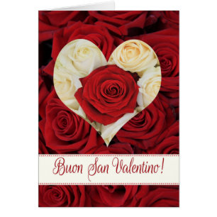 Rose de la Saint Valentin