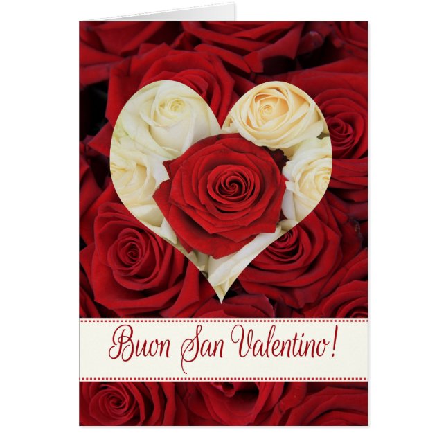 Rose de la Saint Valentin (Devant)